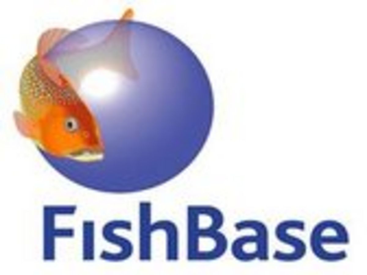 FishBase - Dr. Rainer Froese