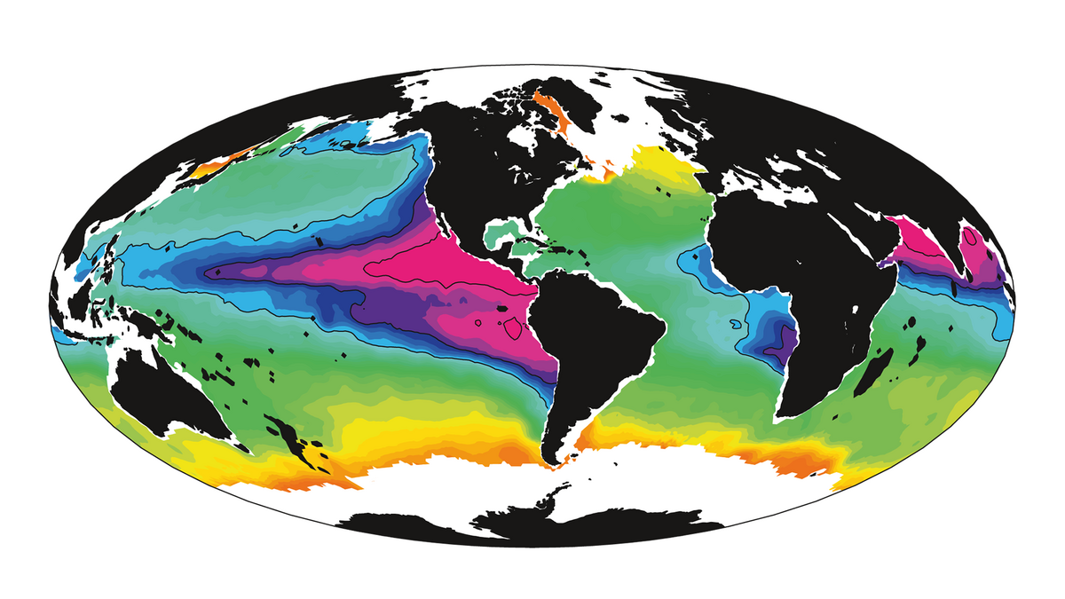 Visualisierung der globalen Verteilung von Sauerstoff im Ozean in ungefähr 300-500 Meter Tiefe. Die violetten Flächen kennzeichnen hier Sauerstoffminimumzonen. 