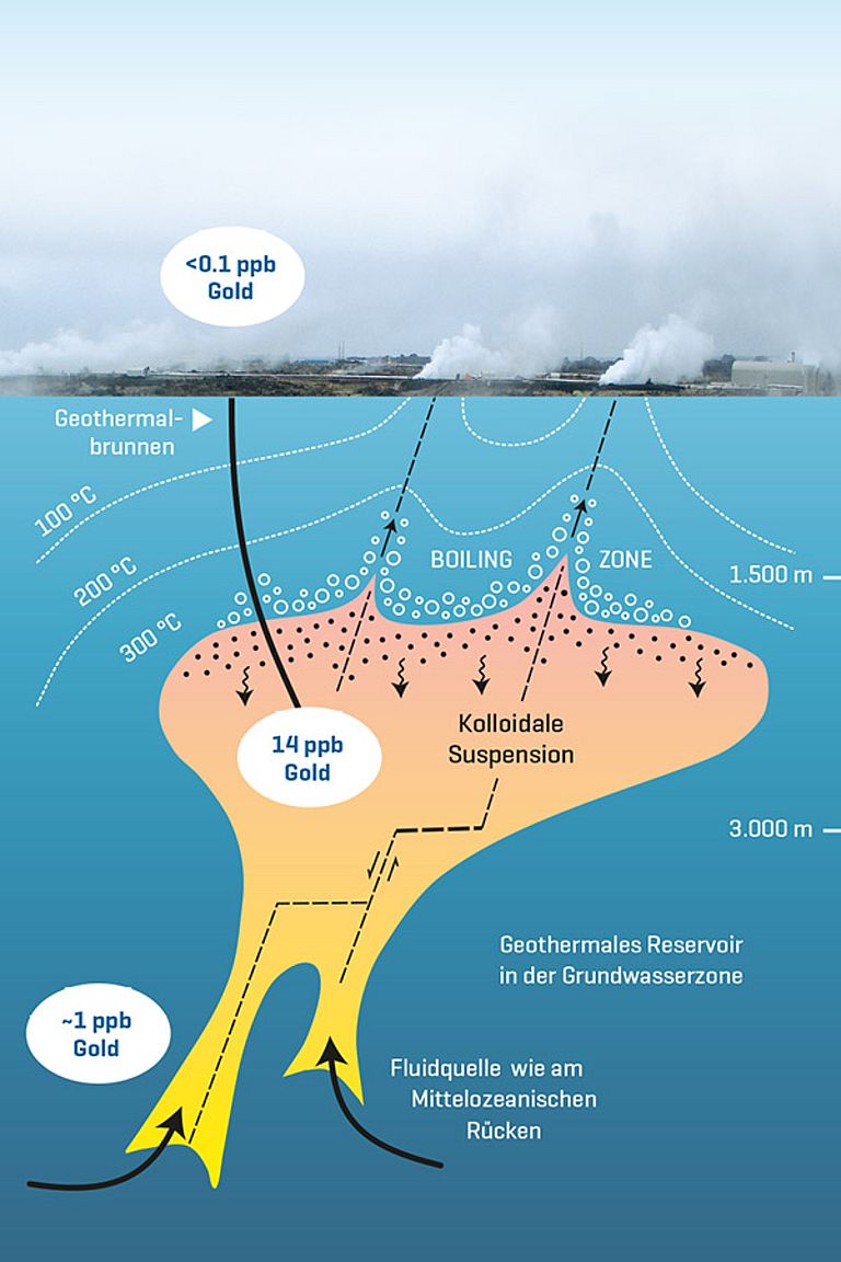Schematische Darstellung des tiefen geothermalen Reservoirs unterhalb der Reykjanes-Halbinsel. In der „Boiling Zone“ fallen Goldpartikel aus der Fluidlösung aus und sorgen so für eine Goldanreicherung darunter. Illustration: Mark Hannington, GEOMAR