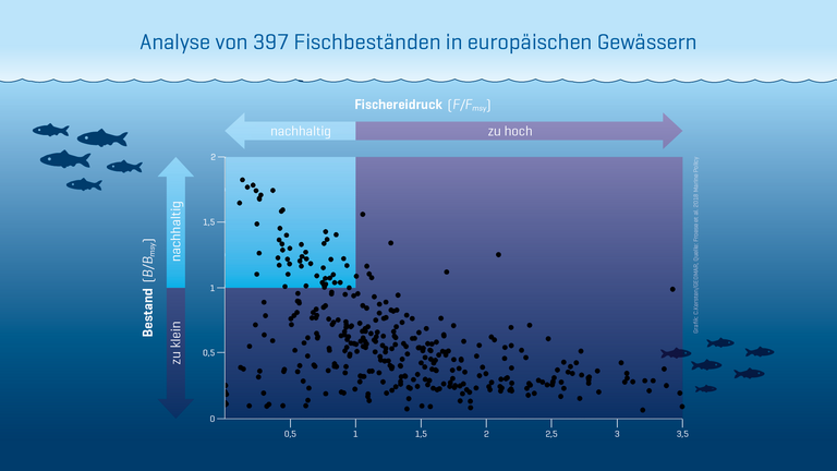 Nach einer Analyse von 397 Fischbeständen in europäischen Gewässern von 2013 bis 2015 erfüllen nur 46 Bestände (12 Prozent) die Kriterien nachhaltiger Fischerei. 