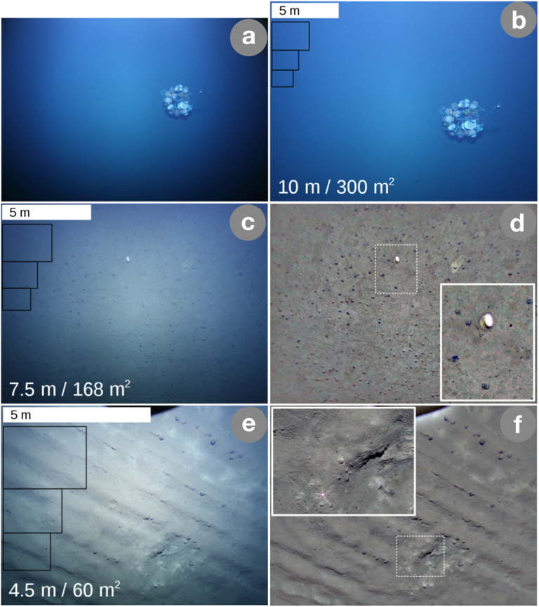 AUV ABYSS images from the Pacific seafloor 10, 7.5, and 4 meters away. The upper two images show a stationary lander, also an autonomous underwater device The images c to f show manganese nodules recognizable as dark points on the seabed. Photo: AUV-Team/GEOMAR
