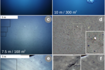 Aufnahmen des AUV ABYSS vom pazifischen Meeresboden aus 10, 7,5, und 4 Metern Abstand. Die oberen beiden Aufnahmen zeigen einen stationären Lander, ebenfalls ein autonomes Unterwassergerät des GEOMAR. Auf den Bildern c bis f sind Manganknollen als dunkle Punkte am Meeresgrund zu erkennen. Foto: AUV-Team/GEOMAR