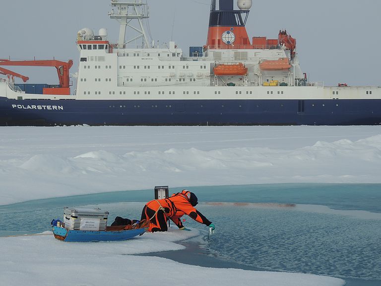 Probennahme vom Oberflächenwasser eines Schmelzwassertümpels, im Hintergrund FS Polarstern. Foto: Anique Stecher