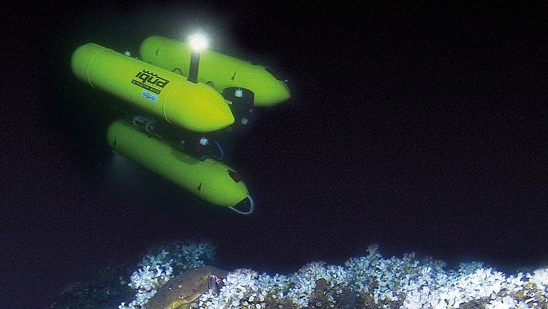 Autonome Unterwasserfahrzeuge (kurz AUV, von engl. autonomous underwater vehicle) sind unbemannte Tauchfahrzeuge, die eigenständig Aufgaben unter Wasser ausführen. 