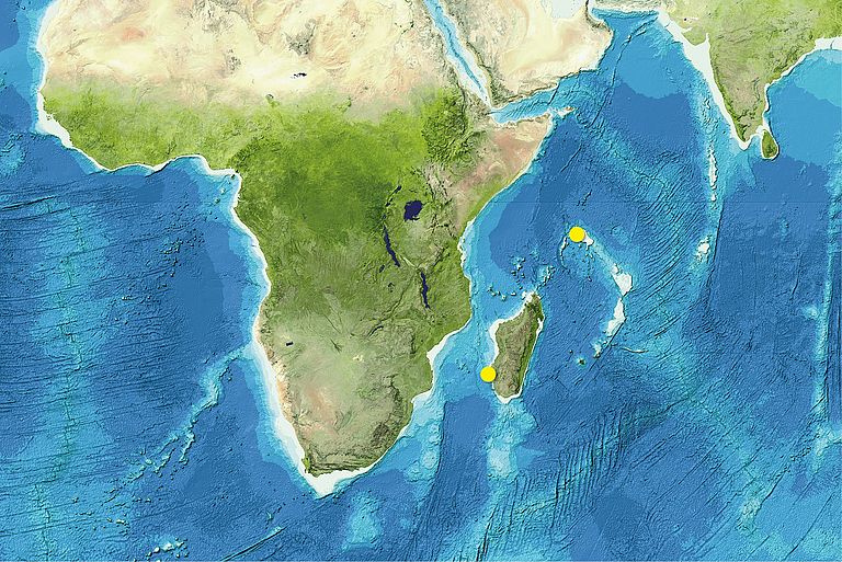 Karte mit den Arbeitsgebieten auf den Seychellen und an der Südspitze von Madagaskar. Karte: www.gebco.net, Bearbeitung: GEOMAR