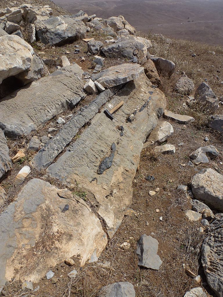 Pelagic limestones of Cretaceous age on Maio, Cabo Verde. The limestones contain flint nodules, which formed during diagenesis. Hammer for scale. Photo: Lisa Samrock