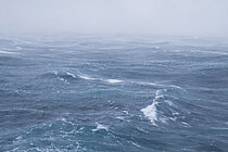 Waves on the open sea