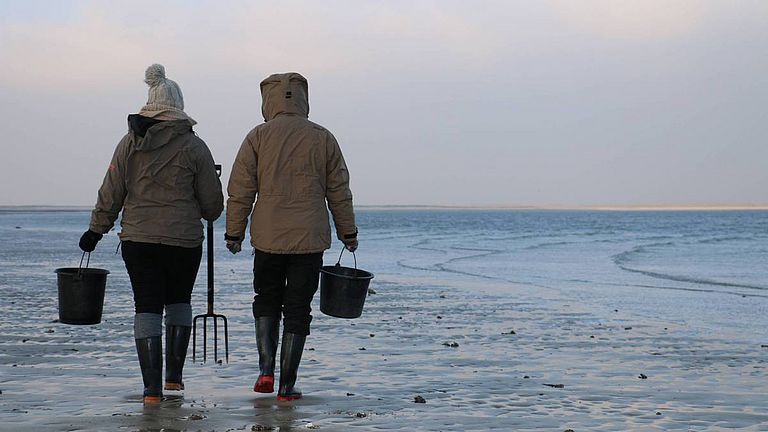 Researchers on their way through the mudflats off List, Sylt.