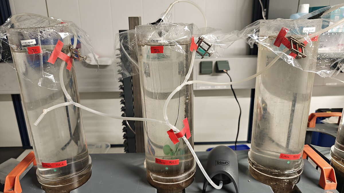 incubation setup