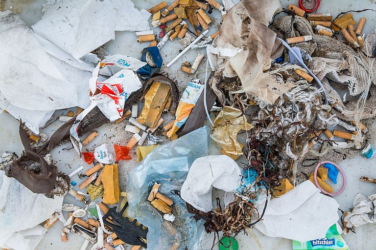 Finds from a beach investivation in September 2018. Photo: Svenja Hardel, Future Ocean