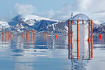  Mesocosms (orange steel frames with transparent sheets and umbrella-like covers) float in a fjord with snow-capped mountains in the background.