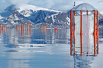 Mesokosmen (orange Stahlrahmen mit transparenten Folien und einen Regenschirmartigen Deckel) schwimmen in einem Fjord mit verschneiten Bergen im Hintergrund