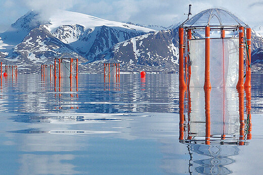 Mesokosmen (orange Stahlrahmen mit transparenten Folien und einen Regenschirmartigen Deckel) schwimmen in einem Fjord mit verschneiten Bergen im Hintergrund
