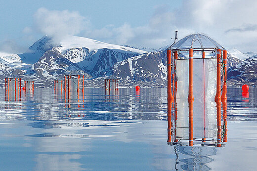  Mesocosms (orange steel frames with transparent sheets and umbrella-like covers) float in a fjord with snow-capped mountains in the background.