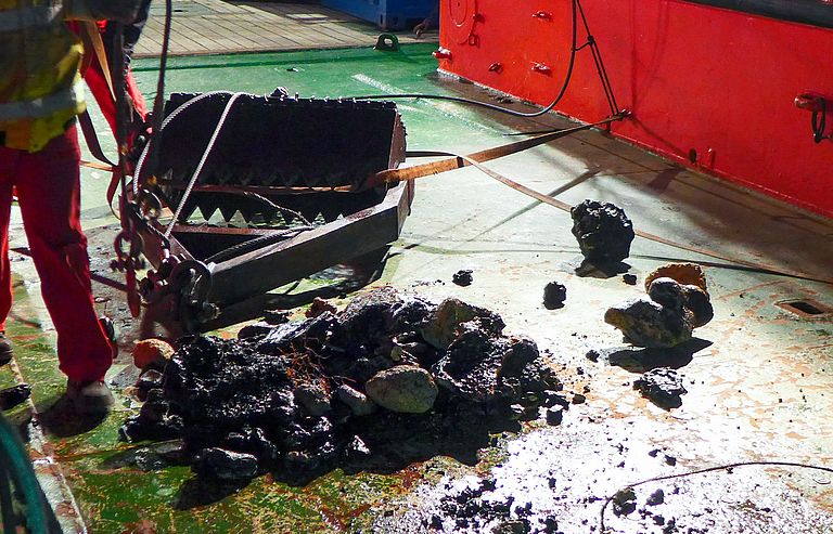 Samples are gathered from the ground of the sea and sorted on the ship.