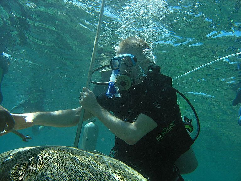 Probennahme an einem Korallenstock. Foto: M. Pfeiffer.