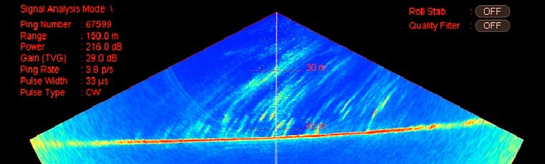 Gasblasen im Meerwasser, wie sie ein Multibeam-Echolot darstellen kann. In dieser Woche trafen sich Hydroakustik-Experten in Kiel, um Erfahrungen mit derartigen Methoden zur Gasblasenmessung auszutauschen. Bild: J. Greinert.