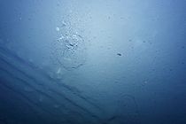 Eines von mehreren 100.000 Fotos des Meeresbodens des DISCOL-Gebietes, die das AUV ABYSS 2015 aufgenommen hat. Unten links sind deutlich Pflugspuren von 1989 zu erkennen, in der Mitte Spuren einer jüngeren Beprobung. In der Bildmitte ist außerdem eine Seegurke zu sehen. Foto: AUV-Team/GEOMAR