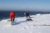 Forschung in der sibirischen Laptewsee, einer der "Eisfabriken" des Nordpolarmeers. Foto: Heidemarie Kassens/GEOMAR