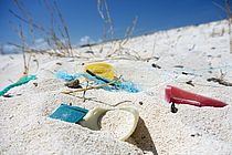 Weltweit findet sich wie hier an einem Strand in Mexiko deutlich sichbare Plastikabfälle an den Stränden. Daneben verschmutzt auch sogenanntes Mikroplastik die Ozeane und Strände. Das GAME-Projekt 2014 untersucht, welche Auswirkungen es auf Meeresorganismen haben kann. Foto: J. Martin, GEOMAR