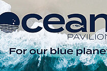 Top view: waves rolling onto the beach, with the Ocean Pavilion logo above