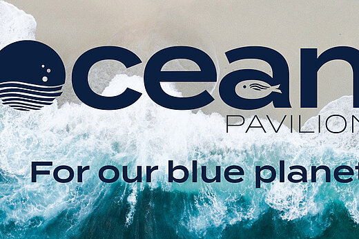 Top view: waves rolling onto the beach, with the Ocean Pavilion logo above