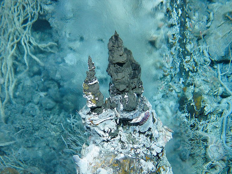 Dieses Foto einer Hydrothermalquelle ist in etwa 1860 Metern Tiefe im Südwest-Pazifik in Gewässern bei Vanuatu entstanden. Foto: ROV KIEL 6000, GEOMAR