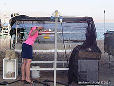 Setup for coral culturing experiments at the IUI run close to natural conditions.
