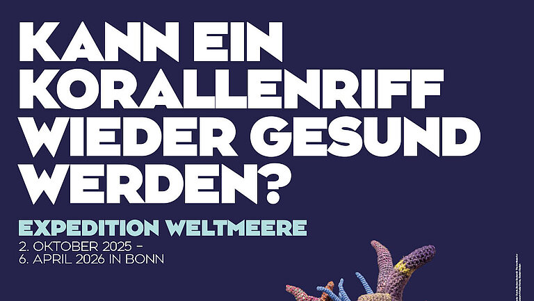 Weltmeere Poster 07