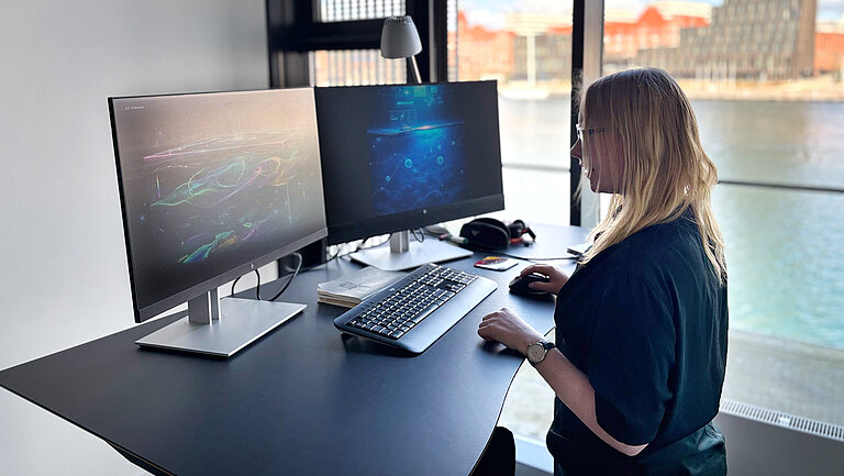 In the digital twin of the south-western Baltic Sea, all the data that has been collected and compiled is combined with a Baltic Sea model to create a digital representation of the south-western Baltic Sea. 
