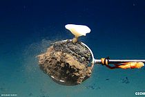 Manganese nodule with a deep-sea sponge. Expedition SO242. Photo: ROV KIEL6000, GEOMAR.