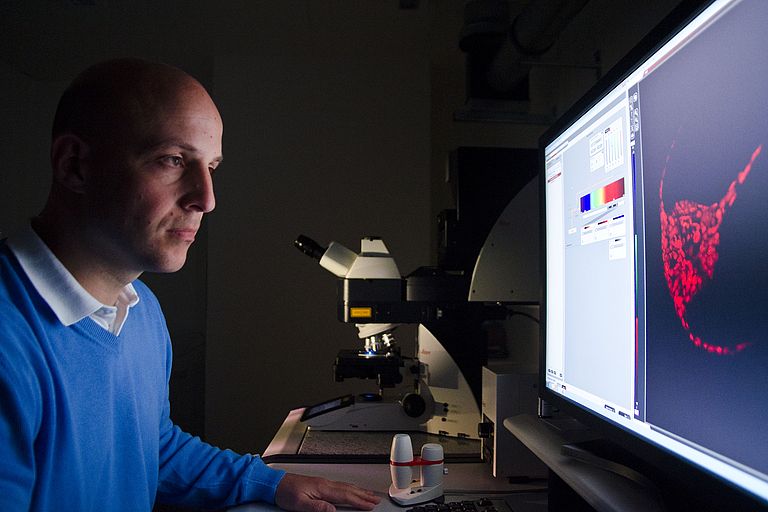 Dr Jan Michels working on the new confocal laser scanning microscope. Photo: J. Steffen, GEOMAR