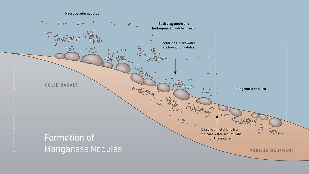 Growth of manganese nodules.