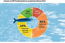 Zustand von 397 Fischbeständen in europäischen Meeren 2015. Grafik: GEOMAR