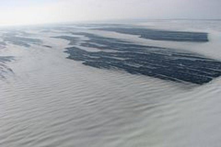 The Laptex-Sea-Polynja, picture: Heidemarie Kassens, GEOMAR