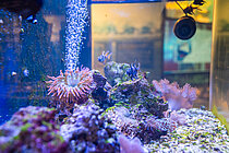 Aquarium