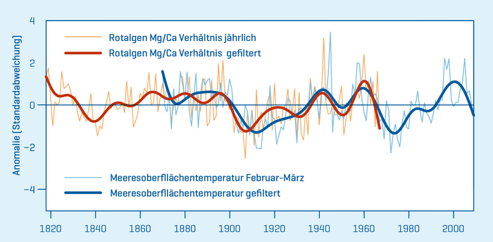 Magnesiun/Kalzium-Verhältnis von Rotalgen bei der Aleuten-Insel Amchitka und ihre Beziehung zu den dortigen Meeresoberflächentemperaturen. Quelle: Hetzinger et al., 2012.