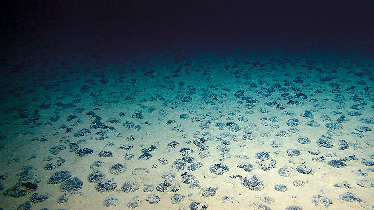 Manganese nodules on the ocean floor in the Clarion-Clipperton Zone. 
