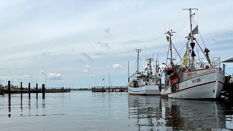 Fischerboote im Hafen
