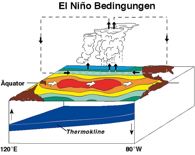 Schematische Darstellung eines El Niño. Nach NOAA/PMEL.