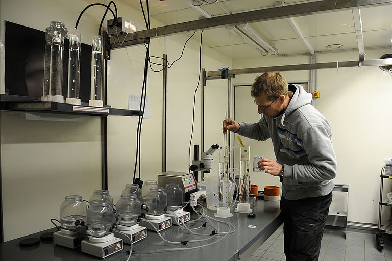   Preparing the glass cylinders in a climate chamber at GEOMAR. Photo credit: Maike Nicolai