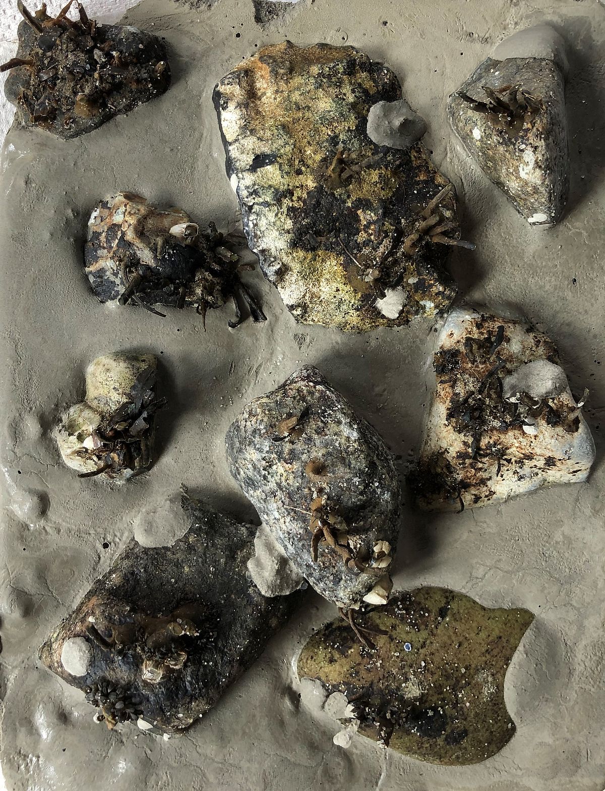 Status after "harvest" in march