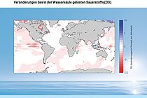 Changes of dissolved oxygen in the global ocean in percent. Graphic: GEOMAR