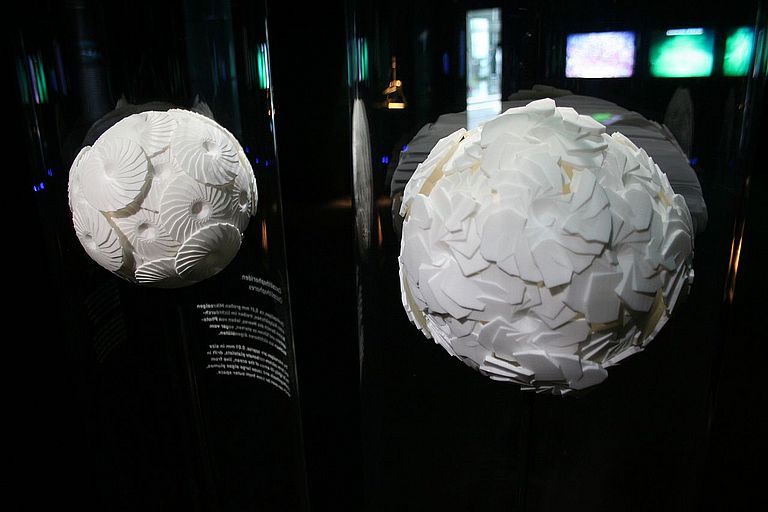 Modelle zeigen, wie winzige Einzeller wie die Coccolithophoriden unter der Ozeanversauerung leiden. Foto: Andreas Villwock, IFM-GEOMAR