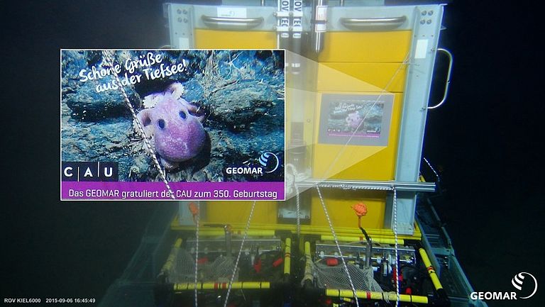 Das GEOMAR Helmholtz-Zentrum für Ozeanforschung Kiel gratuliert der CAU mit einer ganz besonderen Geburtstagskarte. Aufgenommen vom Tiefseeroboter ROV Kiel 6000 mehr als 4000 Metern Wassertiefe im Ostpazifik. Quelle: ROV Kiel 6000, GEOMAR.