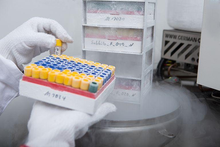 The path of an active marine into a practical product is widely . The ALLIANCE project therefore combines various actors from basic research to industry. Photo : Leila Ivarsson