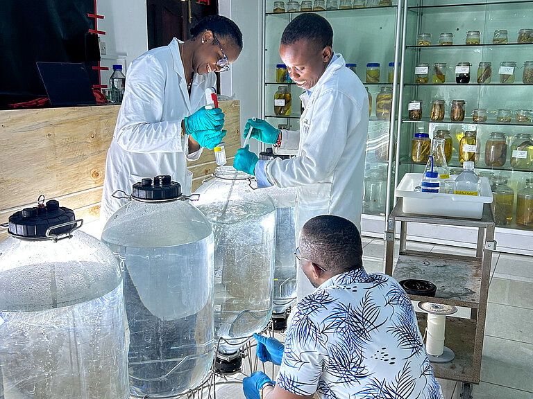  Three people of colour wearing white lab coats are working in a laboratory on large transparent glass containers filled with water