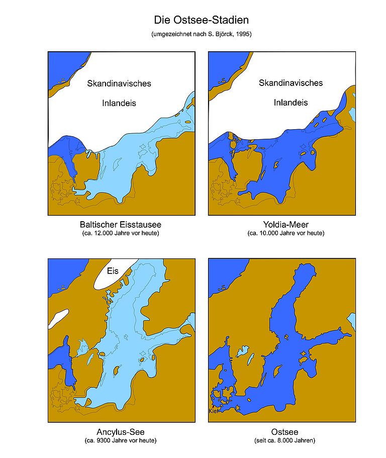 Die Entwicklung der Ostsee in den vergangenen 12000 Jahren. Süßwasser ist in der Grafik hellblau, Salzwasser ist dunkelblau dargestellt.