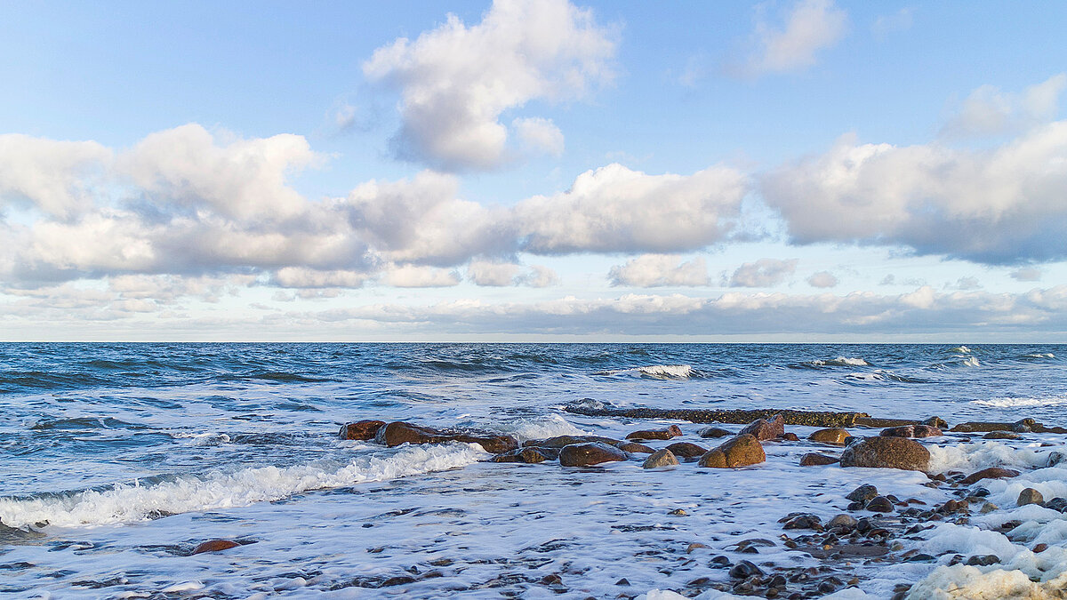 Ein KI-gestütztes Klimaschutz-Vsualisierungstool soll den Ökosystemzustand in der küstennahen Ostsee einfach verständlich sichtbar machen