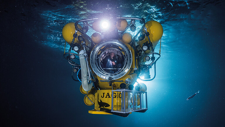 Nacht-Tauchgang zur Beobachtung und Sammlung von Freiwasser-Organismen 2018 um die Kapverden. 